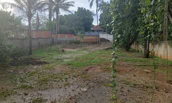 Imagem 4: Oportunidade imperdível