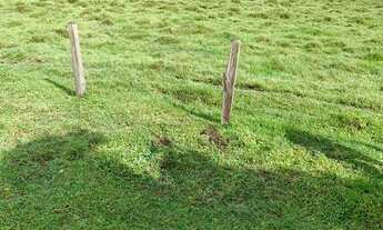 Imagem 3: PA - Vende-se terreno a partir de 600m2