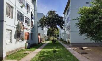 Imagem 3: PORTO ALEGRE - Apartamento Padrão - Humaita