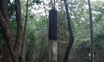 Imagem 3: Rancho no barranco temporada aruanã go