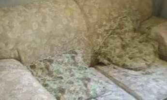 Imagem 5: Apartamento Padrão em Ribeirão Preto