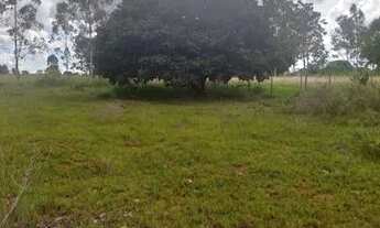 Imagem 3: Vende se Chácara com venda por R$150.000