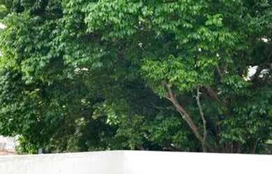 Imagem 5: SOBRADO - LAPA - SP