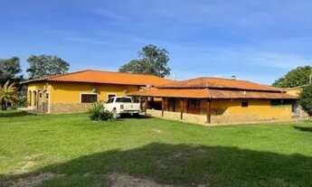 Imagem 2: Fazenda de 62 alqueires em São Francisco-GO