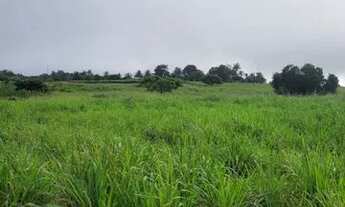 Imagem 5: Vendo excelente sítio em alagoinhas