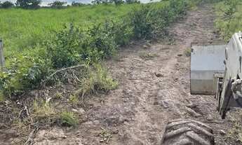 Imagem 4: Fazenda 1.500 hect em Acorizal MT. 600hect formados 15 milhões