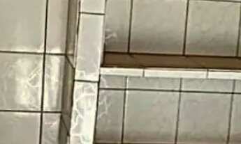 Imagem 4: Galpão à venda na Rua Arabori, Rocha Miranda, Rio de Janeiro - RJ