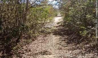 Imagem: Oportunidade terra rural