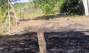 Imagem 2: Vendo terreno, localizado no Recanto dos papagaios