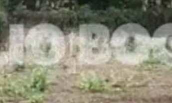 Imagem 3: Vargem grande estr.rio morto terreno linear 1005m2