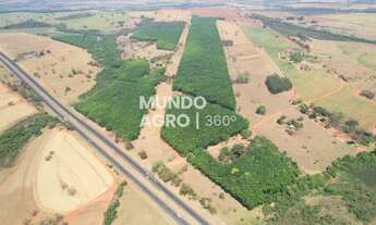 Imagem: 14.49 Alq. Seringueira. Margem da Euclides