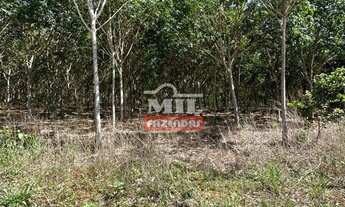 Imagem 3: Fazenda 40 alqueires (193 hectares) Cachoeira de Goias - GO