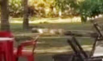 Imagem 2: Chácara Itacoatiara