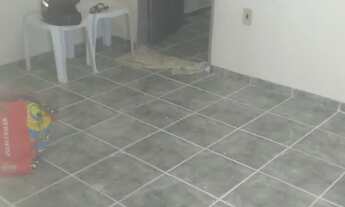 Imagem: Apartamento para Aluguel - Disponível a