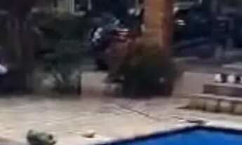 Imagem 7: VENDO LINDO SÍTIO EM MARECHAL DEODORO - AL