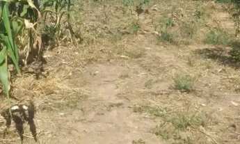 Imagem: Venda Terreno No Bairro Jd. Majestic Na