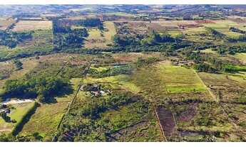 Imagem 2: 19Ha com muita Água no Incra 7 - melhor preço da região