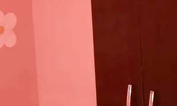 Imagem 7: Alugo casa semi-mobiliada (desocupada no mes de janeiro, dia 05