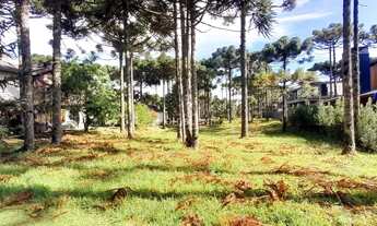 Imagem: LINDO TERRENO PLANO NO ASPEN MOUNTAIN