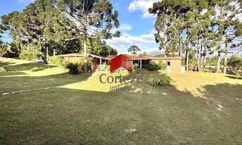 Imagem 4: Chácara com 250m² 5 quartos, à venda, no bairro Área Rural Mandirituba em Mandirituba