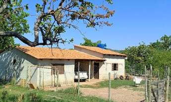 Imagem: Sítio em faina-GO