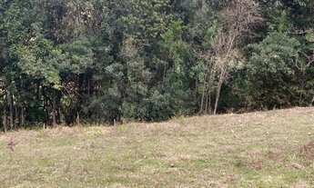 Imagem 2: Cunha 350m2 há 15min do centro