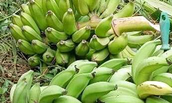 Imagem: Terreno de esquina com 300 metros quadrados