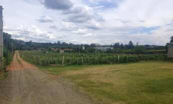 Imagem 2: Sítio à venda com 49500 m² no Cidade Universitária, Campinas