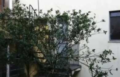 Imagem 6: Lote em Rua Benedito Augusto do Nascimento - Jardim Pilar - Mauá/SP