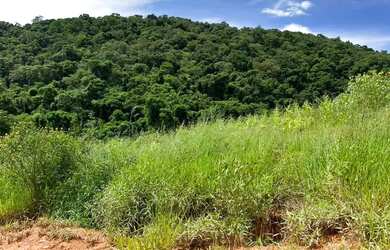 Imagem 2: Lotes para venda possui 500 metros quadrados em Colégio - Ibiúna - SP