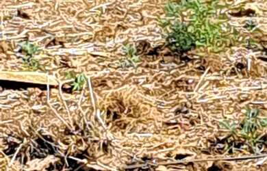 Imagem 5: Terreno Parque Via Norte