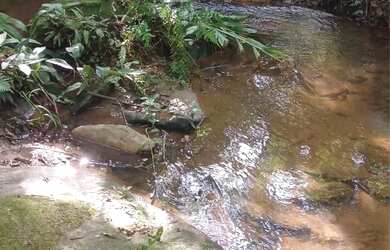 Imagem 4: Chácara dos Sonhos - 3.000 metros em Cristianópolis GO