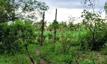 Imagem 3: Vendo terreno 10x20