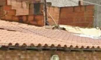 Imagem 3: CASA NO KM 32 Casa com 3 dormitórios