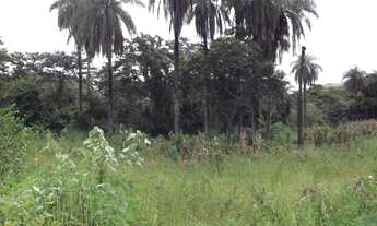 Imagem 5: Serra do Cipó Linda chácara de 1.500 m², localizada a apenas 100 metros do Rio Cipó