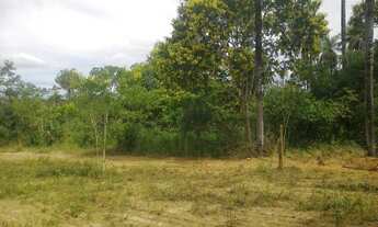 Imagem 4: Chacara de 2300 metros com muita agua 9 * WhtsAAP