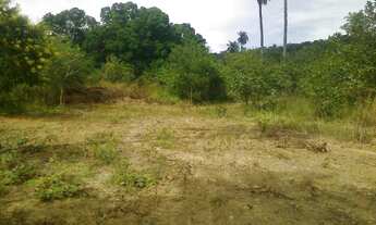 Imagem 7: Chacara de 2300 metros com muita agua 9 * WhtsAAP