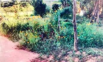 Imagem 6: Linda Casa em Congonhas-MG - Bairro: Alto Maranhão - Lote de 1000 M