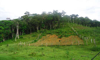 Imagem 3: Sitio valor R$ 8.500,00 cada hectares