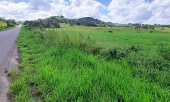 Imagem 3: Fazenda próximo BR 324 localizada em Terra Nova