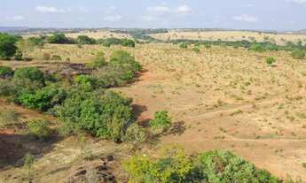 Imagem 3: FAZENDA 67 ALQUEIRES MUN.JARAGUA GOIAS