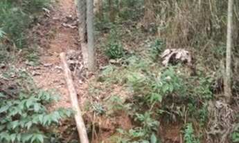 Imagem 4: NOVA LIMA - Loteamento/Condomínio - Cond. Arvoredo