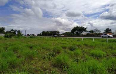 Imagem 4: Terreno de frente p BR 101em Araquari-SC