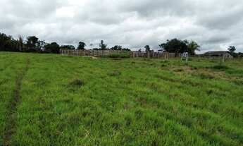 Imagem: Venda Fazenda-153 alqueires-Casa-Pasto-Contriguaçu-Mato