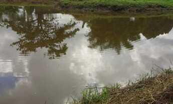 Imagem 7: Terreno em Guapimirim