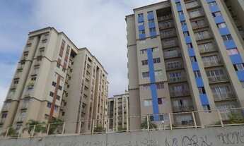 Imagem 4: Bulevar dos ipês