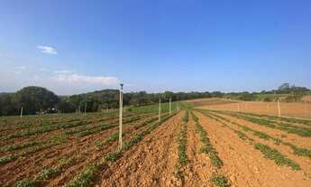 Imagem 3: O02 Lotes em Atibaia venham conferir