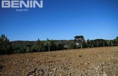 Imagem 2: GRAMADO - Terreno Padrão - DUTRA