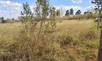 Imagem 7: Terreno Residencial para Venda em RA IV Brazlândia, Samambaia Norte (Samambaia