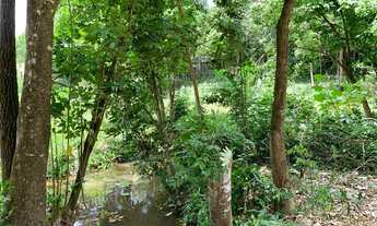 Imagem 3: Lindo terreno em Aldeia